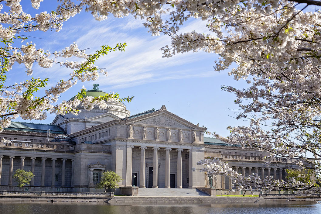 Don't Miss These Chicago Museums